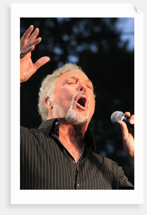 Tom Jones (2) by L. Paul Mann